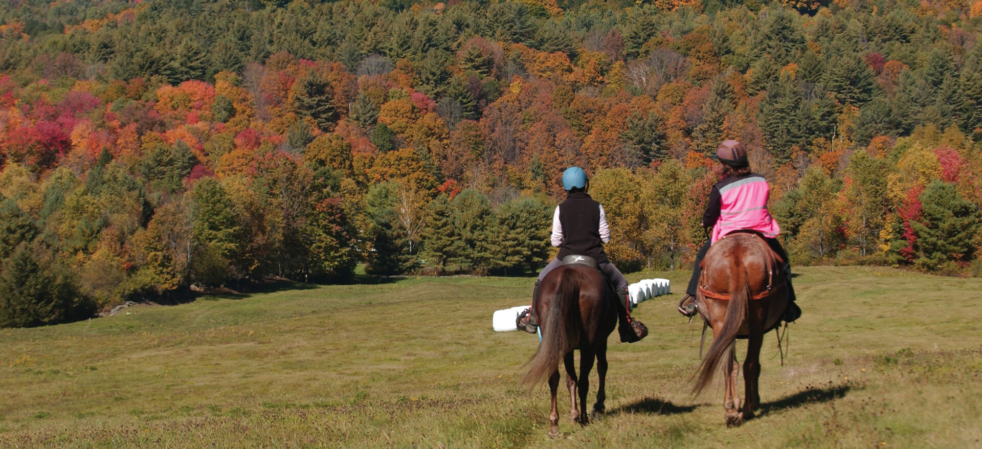 Home Ascutney Outdoors