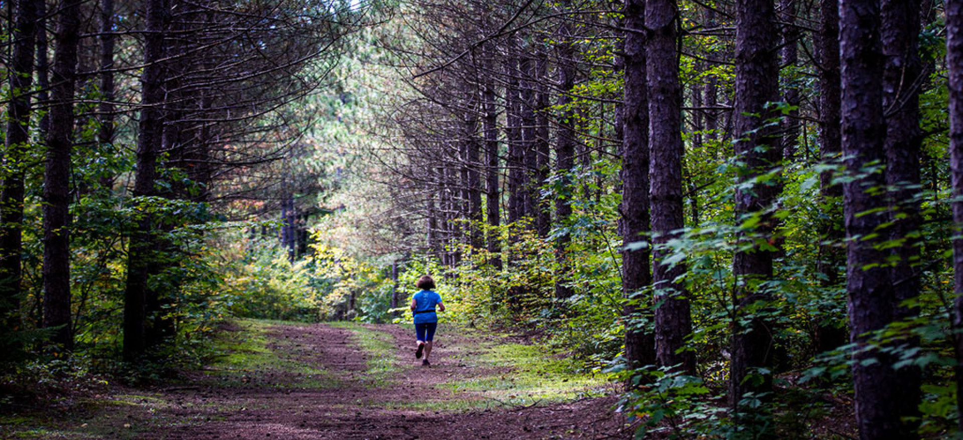 Home Ascutney Outdoors