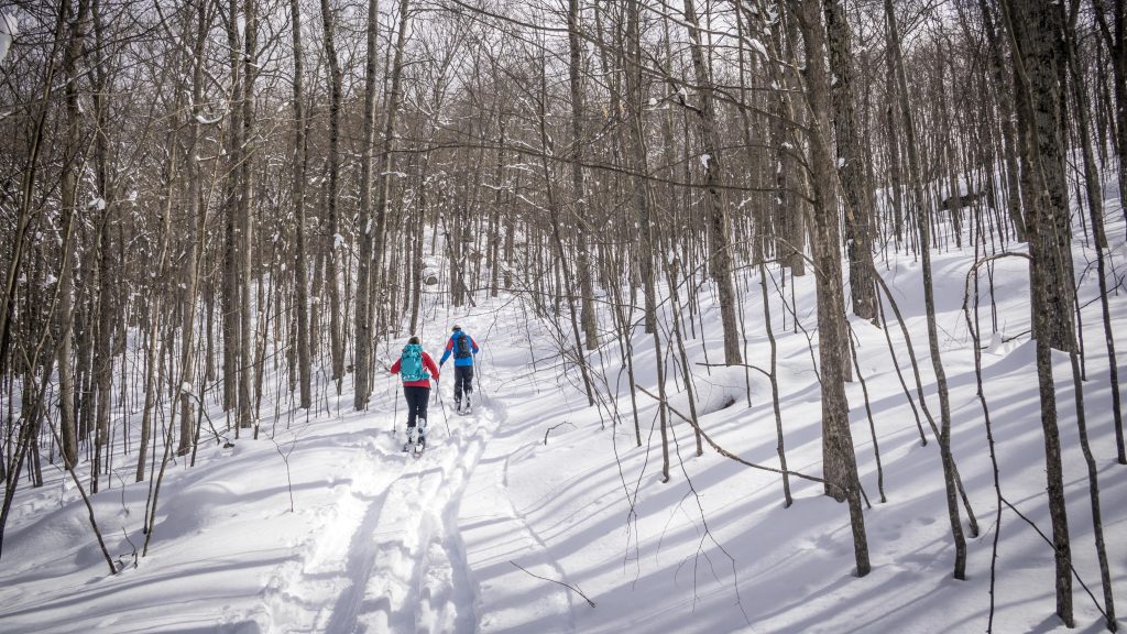 Cross Country Skiing at Ascutney